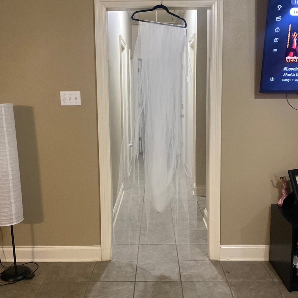 Cathedral length veil